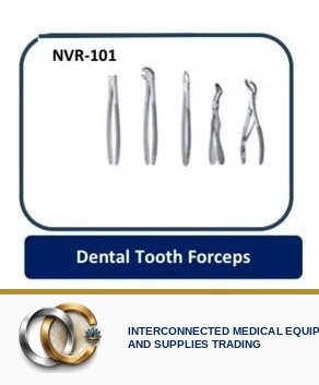 Dental Tooth Forceps